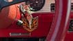 1980 Pontiac Firebird W66 Formula For Sale - 22902799 - 60