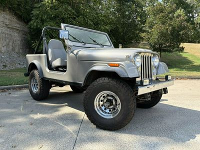 1981 AMERICAN MOTORS                     JEEP