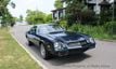 1981 Chevrolet Camaro Berlinetta For Sale - 22544403 - 11