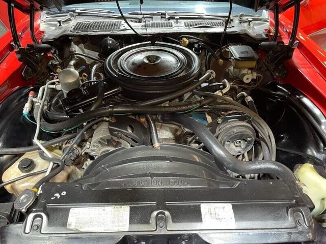 1981 Chevrolet Camaro Z28 2dr Coupe - 22473604 - 30