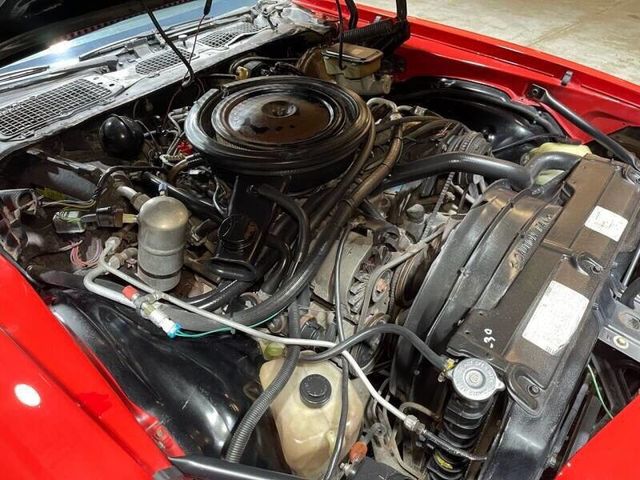 1981 Chevrolet Camaro Z28 2dr Coupe - 22473604 - 31