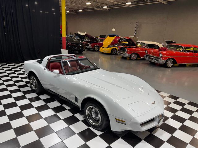 1981 Chevrolet Corvette Base 2dr Coupe - 22825323 - 17