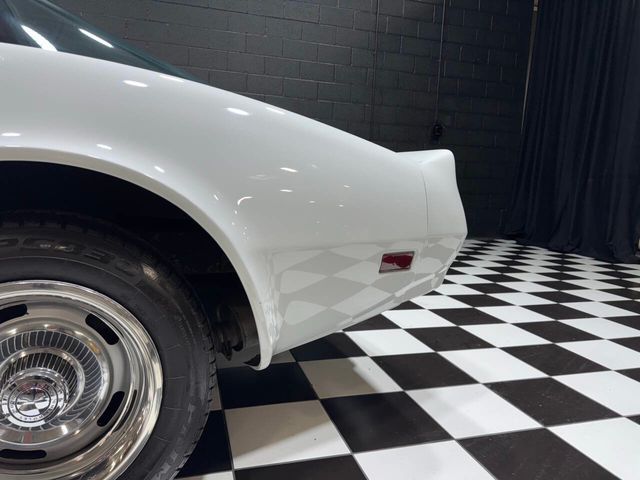 1981 Chevrolet Corvette Base 2dr Coupe - 22825323 - 26