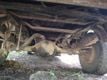 1981 Chevrolet K20 4wd Pickup Truck For Sale - 22551748 - 12