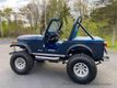 1982 AMERICAN MOTORS JEEP Wrangler CJ5 For Sale - 23029223 - 10