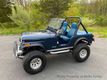 1982 AMERICAN MOTORS JEEP Wrangler CJ5 For Sale - 23029223 - 15