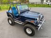 1982 AMERICAN MOTORS JEEP Wrangler CJ5 For Sale - 23029223 - 1