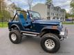 1982 AMERICAN MOTORS JEEP Wrangler CJ5 For Sale - 23029223 - 29