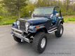 1982 AMERICAN MOTORS JEEP Wrangler CJ5 For Sale - 23029223 - 5