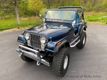 1982 AMERICAN MOTORS JEEP Wrangler CJ5 For Sale - 23029223 - 65