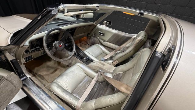 1982 Chevrolet Corvette Collector Edition 2dr Hatchback - 22903340 - 21