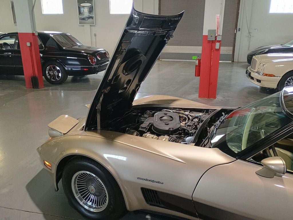 1982 Chevrolet Corvette Collector Edition Clean Carfax - 23067804 - 29