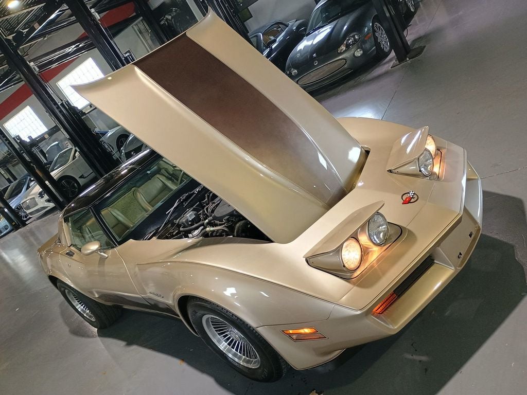 1982 Chevrolet Corvette Collector Edition Clean Carfax - 23067804 - 30