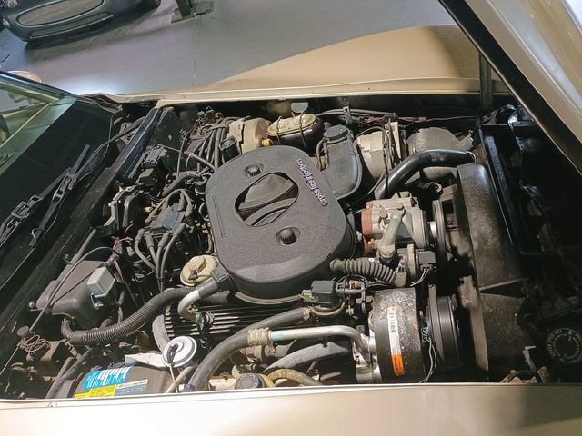 1982 Chevrolet Corvette Collector Edition Clean Carfax - 23067804 - 33