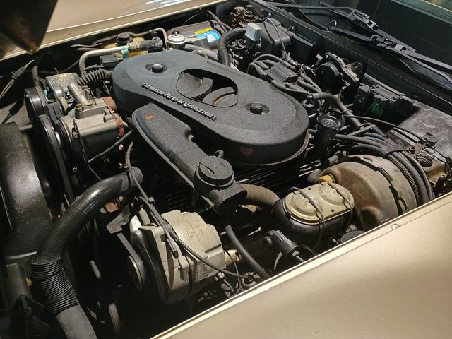 1982 Chevrolet Corvette Collector Edition Clean Carfax - 23067804 - 35