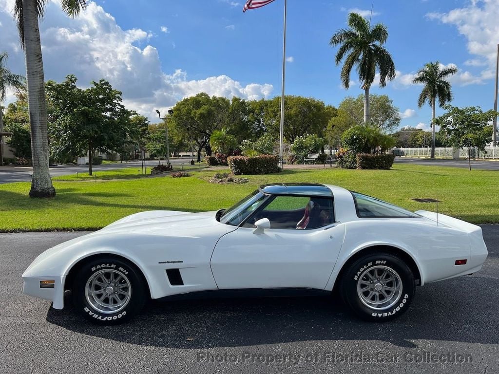 1982 Chevrolet Corvette Coupe T-Top Automatic - 21365604 - 12