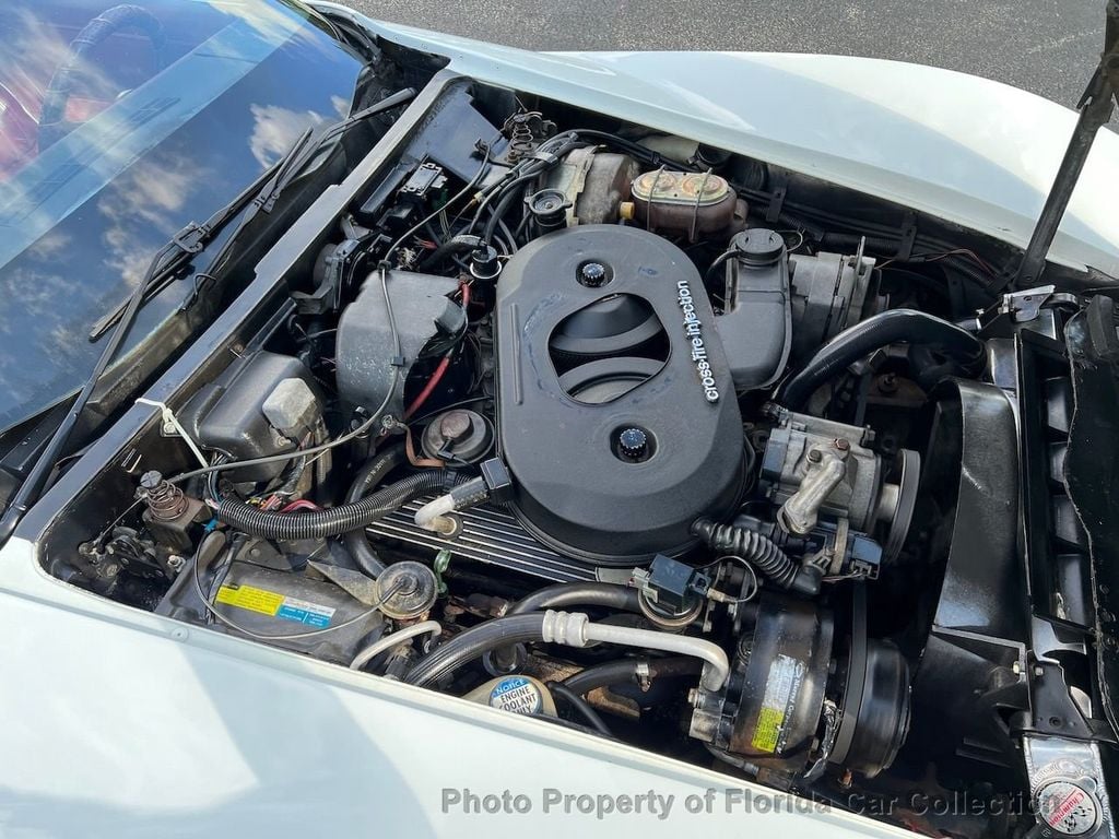 1982 Chevrolet Corvette Coupe T-Top Automatic - 21365604 - 95