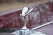 1982 Rolls-Royce Silver Spirit  - 22775788 - 16