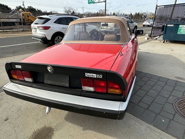 1983 Alfa Romeo Spider 2dr Convertible Veloce - 22321047 - 22