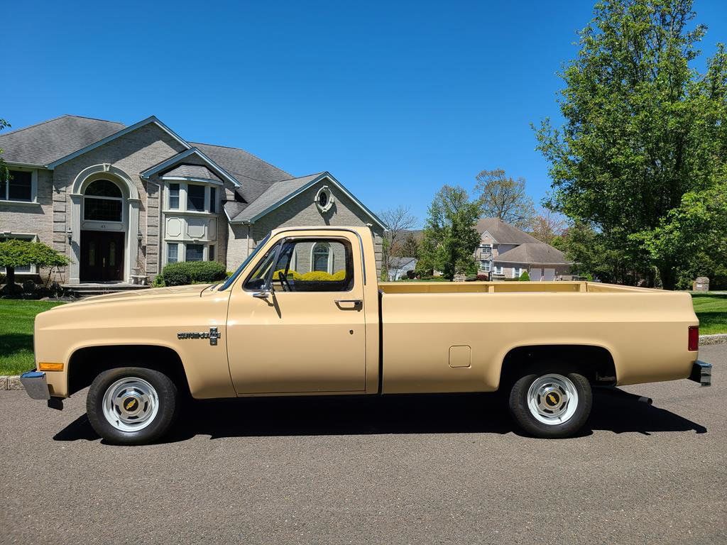 1983 Chevrolet C10  - 21390876 | Video 1