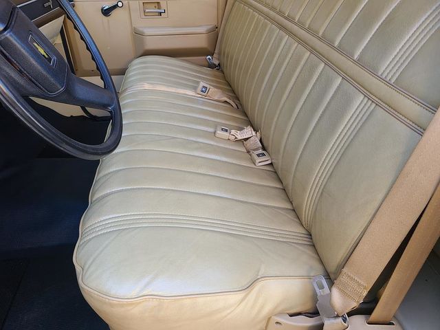 1983 Chevrolet C10  - 21390876 - 16