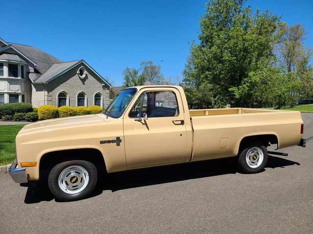 1983 Chevrolet C10  - 21390876 - 1