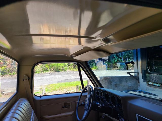1983 Chevrolet C10  - 21390876 - 20