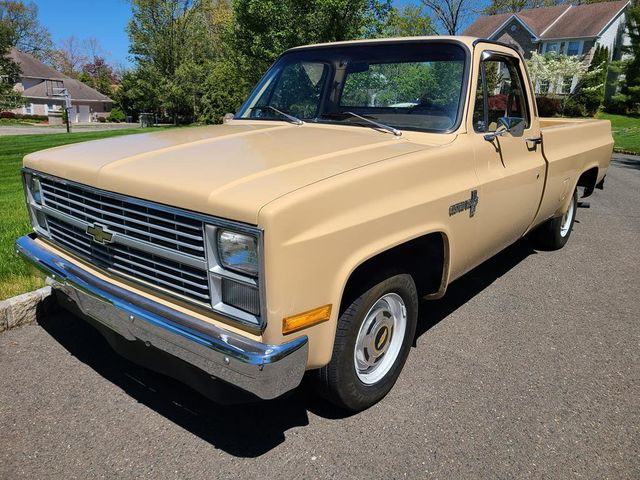 1983 Chevrolet C10  - 21390876 - 28