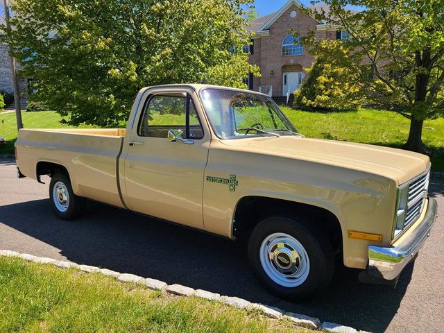 1983 Chevrolet C10  - 21390876 - 2