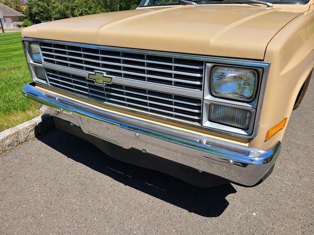 1983 Chevrolet C10  - 21390876 - 29