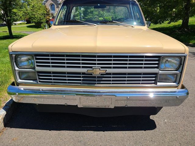 1983 Chevrolet C10  - 21390876 - 30