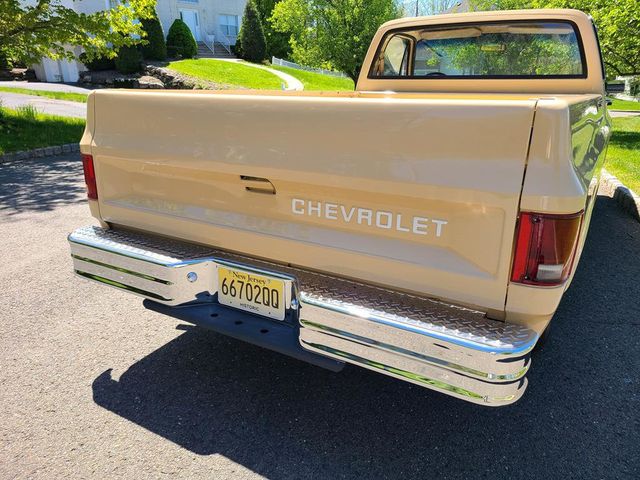 1983 Chevrolet C10  - 21390876 - 31