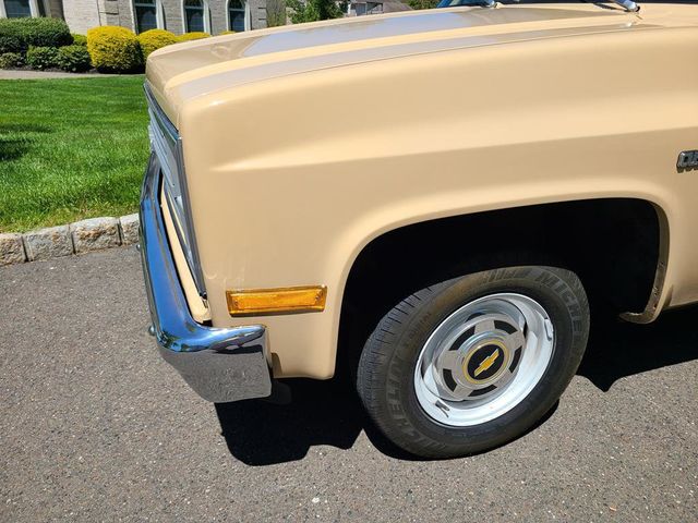 1983 Chevrolet C10  - 21390876 - 36
