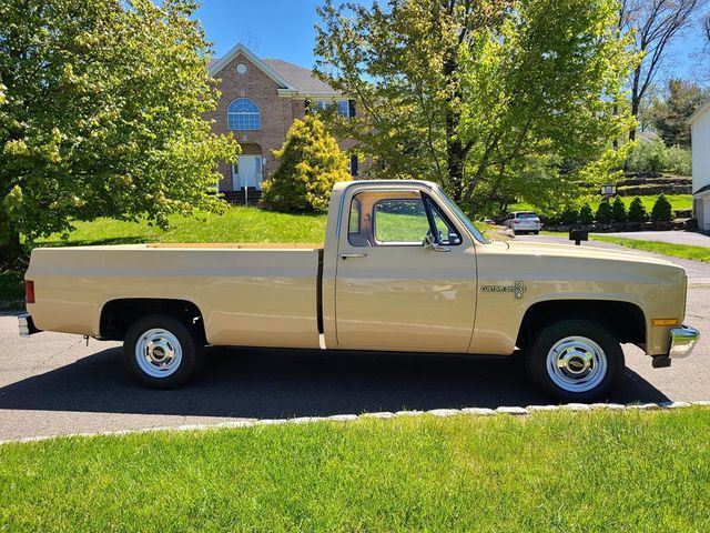 1983 Chevrolet C10  - 21390876 - 3