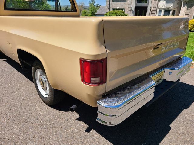 1983 Chevrolet C10  - 21390876 - 50