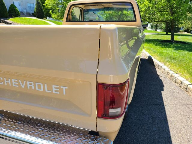 1983 Chevrolet C10  - 21390876 - 57