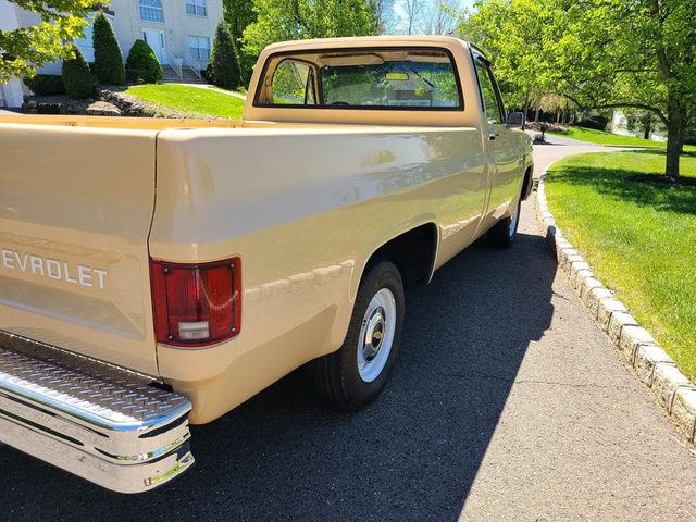 1983 Chevrolet C10  - 21390876 - 59