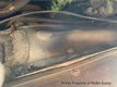 1984 AMC Eagle Limited Project For Sale  - 22925443 - 40