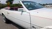 1984 Buick Riviera Convertible For Sale - 22563768 - 19