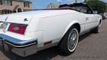 1984 Buick Riviera Convertible For Sale - 22563768 - 22