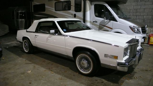 1984 Cadillac Eldorado Biarritz - 18416767 - 10