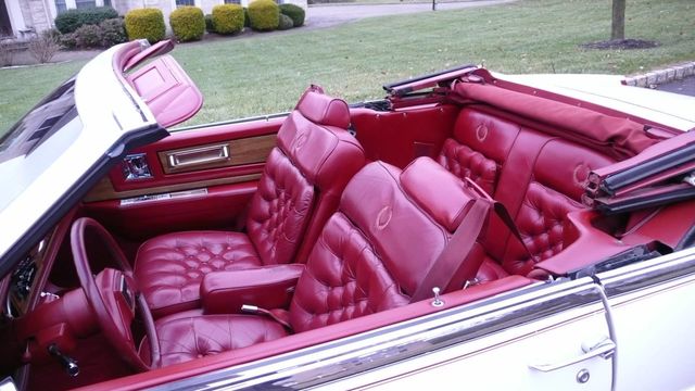 1984 Cadillac Eldorado Biarritz - 18416767 - 1