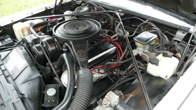 1984 Cadillac Eldorado Biarritz - 18416767 - 79