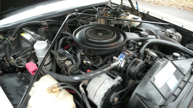 1984 Cadillac Eldorado Biarritz - 18416767 - 81