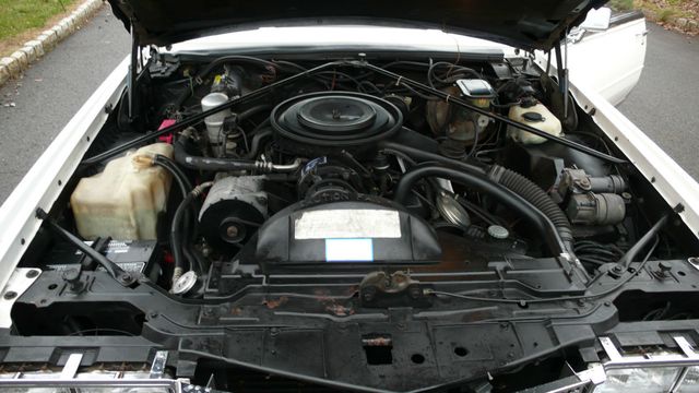 1984 Cadillac Eldorado Biarritz - 18416767 - 82