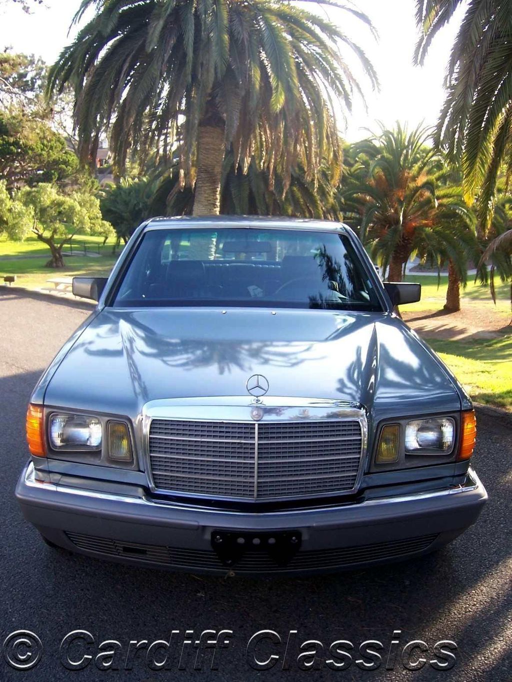 1984 Mercedes-Benz 300SD Turbo Diesel - 10452326 - 2