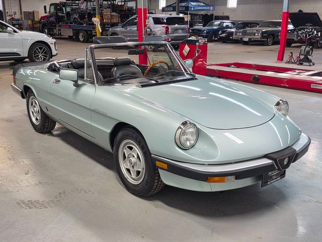 1985 Alfa Romeo Spider 1985 Alpha Romeo Spider Veloce - 22504588 - 16