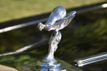 1985 Rolls-Royce Silver Spur  - 22921412 - 21