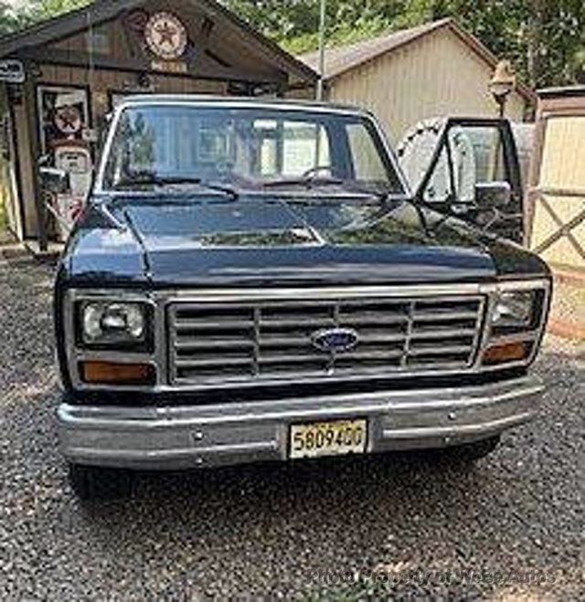 1986 Ford F-150 XLT - 22589269 - 11