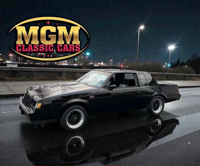 1987 Buick Regal Grand National Turbo 2dr Coupe - 22960678 - 0